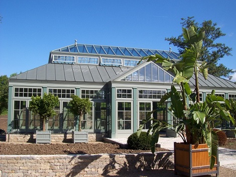 Innenraumbegrünung Orangerie mit Olivenbaum hier feste Bodenpflanzung - Würzburg, Bayern innenraumbegruenung_orangerie_pflanzen_mediterran_kaufen