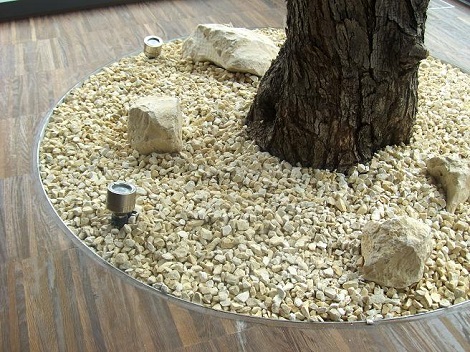 Innenraumbegrünung moderner Wintergarten mit Olivenbaum in den Boden gepflanzt - Raum Stuttgart innenraumbegruenung_wintergarten_modern_olivenbaum_bodenpflanzung